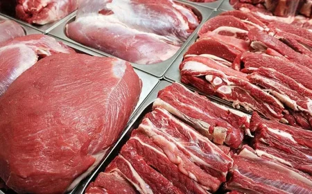 خبر خوش برای بازار گوشت قرمز؛ عرضه دام ۳۰ درصد افزایش یافت + جدول